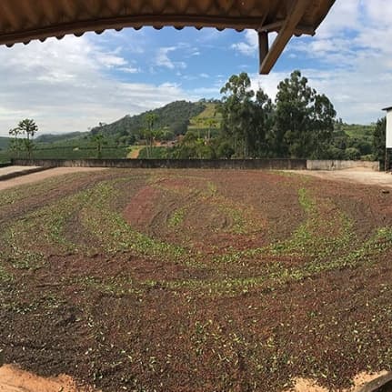 Fazendas de Cafés Especiais e Gourmets - Busca Café