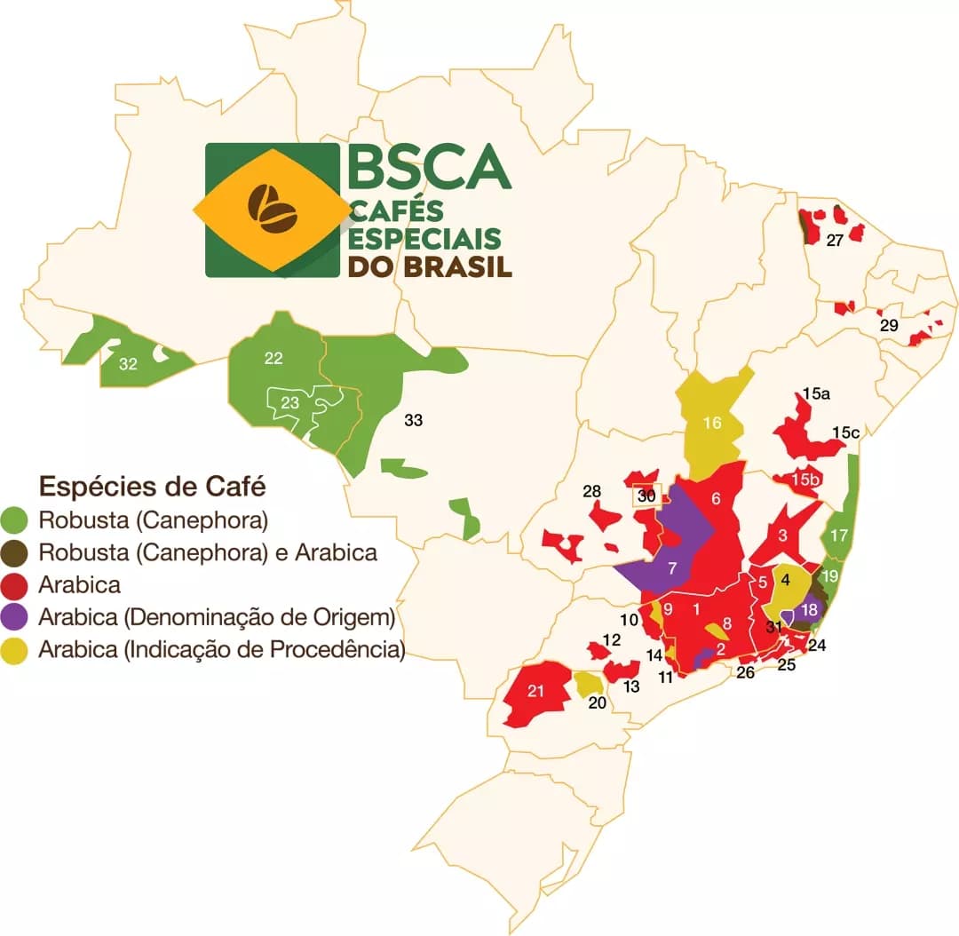 Mapa de produção de cafés especiais no Brasil